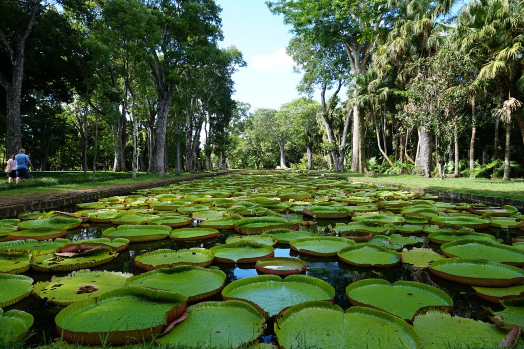 What to see in Mauritius