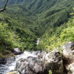 Mauritius attractions - Black River Gorges