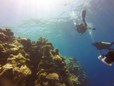 Diving in Mauritius