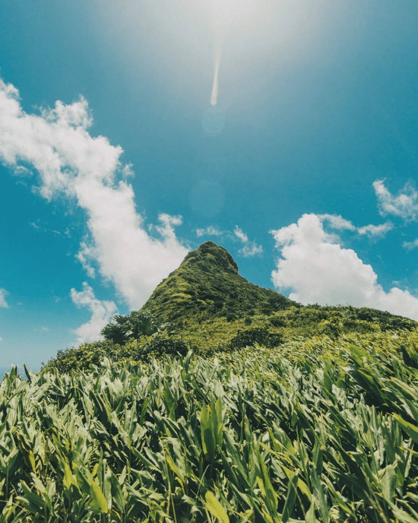 best treks in Mauritius
