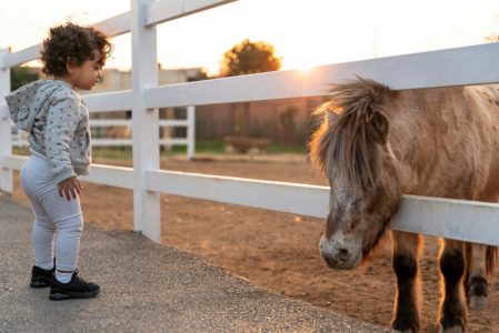 Ride a Pony at Domaine de L'Etoile