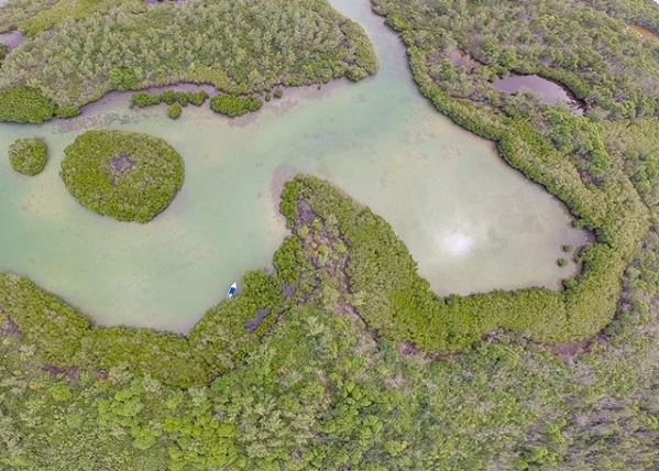 Trekking Mauritius