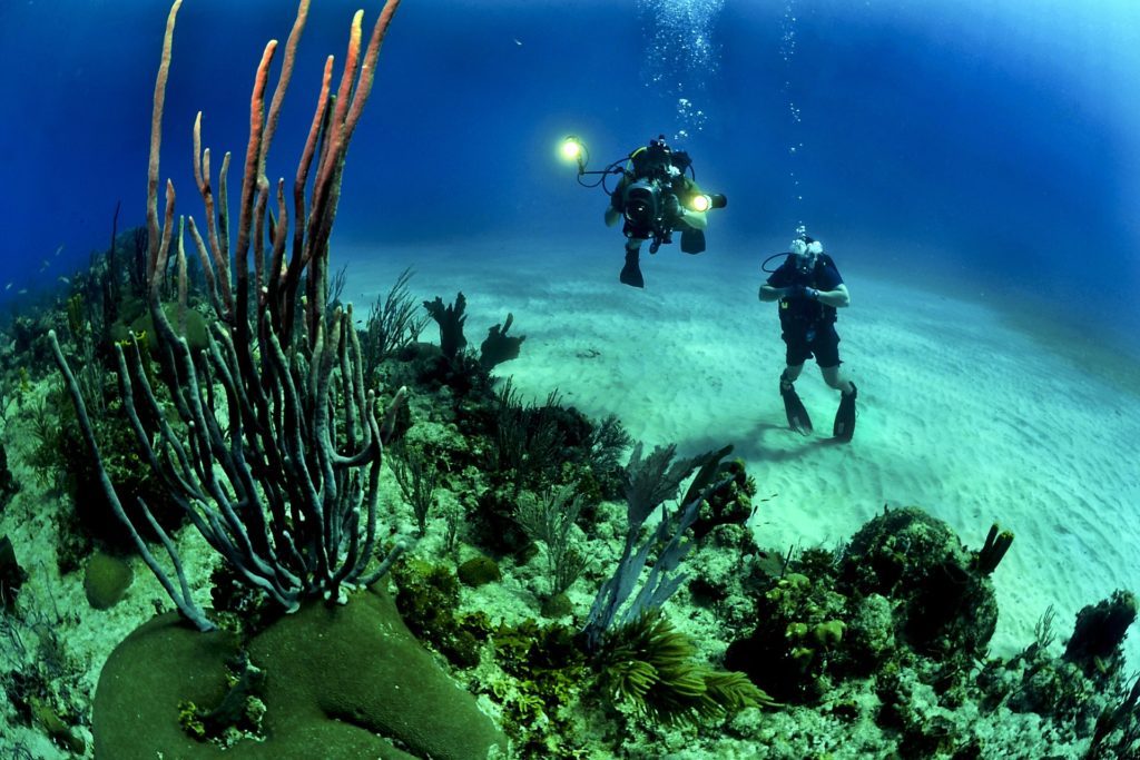 diving for beginners in Mauritius