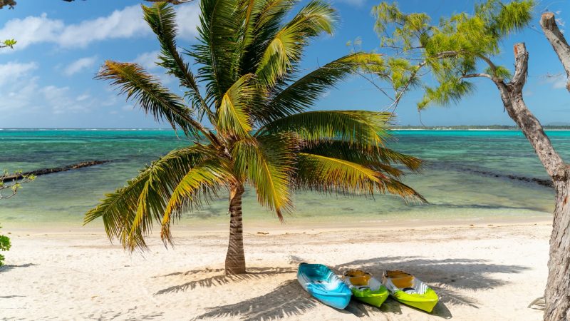 Activities you can try with the kids in Koki Bonheur Beachfront Villa