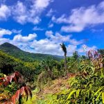 Tour packages in Mauritius