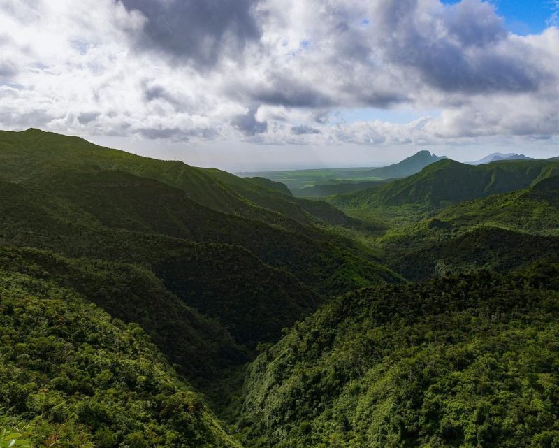 breathtaking view at the biggest forest conservation in Mauritius.